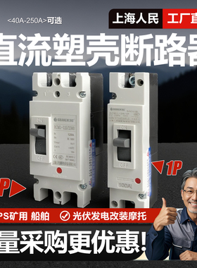 上海人民直流塑壳断路器1P 2P 63A 200A 250A光伏专用空开DC500V