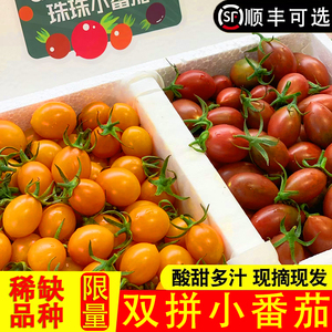 漳州碱土黄金圣女果子弹头新鲜紫小番茄非千禧樱桃西红柿水果5斤