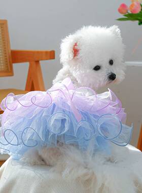 PETCIRCLE宠物圈中小型犬衣服宠物用品宠物狗狗衣服星黛梦幻纱裙