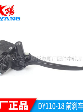 大阳摩托车原厂配件DY110-18/18A宝宝125T-16/26A前碟刹上泵油泵