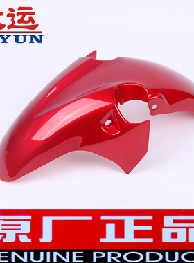 大运摩托车原装配件DY150-22大运劲 前泥板前挡泥板前水板前沙盖