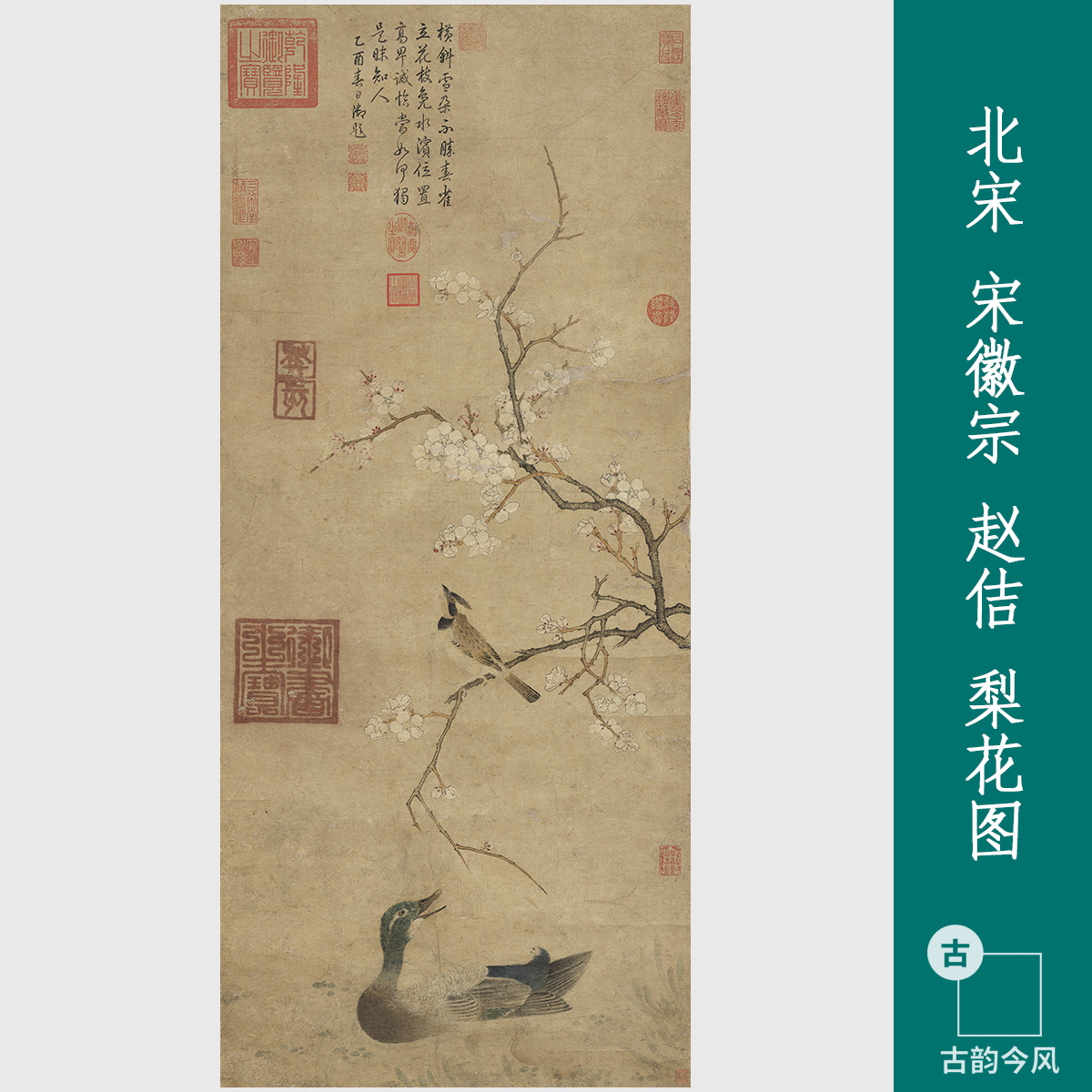 宋徽宗赵佶梨花图轴国画