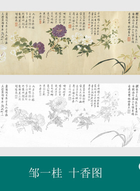 清邹一桂十香图古画花卉长卷