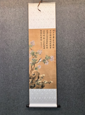 宋代美学挂画国画玄关装饰画蒋廷锡花鸟写生宋画山水画台北故宫