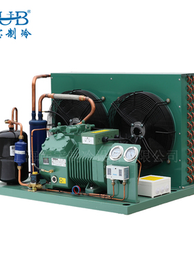 4EES-6 4DES-7 4CES-9 4VES-10 全新北京比泽尔制冷冷库机组外机