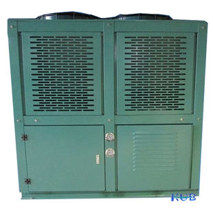 4VES V型比泽尔机组 4GE 4TES 4HE 4NES 4PES