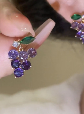 紫色锆石葡萄耳钉银针轻奢小众设计感高级耳环女气质耳饰秋冬新款
