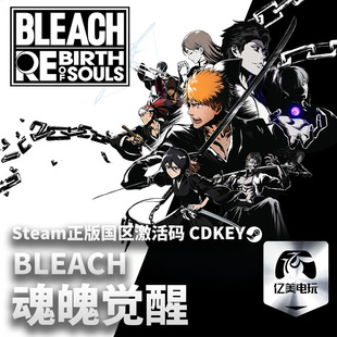 Steam 正版 PC 游戏 BLEACH 魂魄觉醒 国区激活码 CDKEY