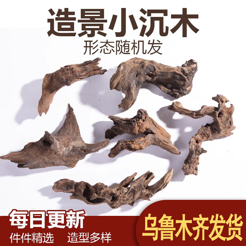 鱼缸造景沉木天然珊瑚木莫斯树