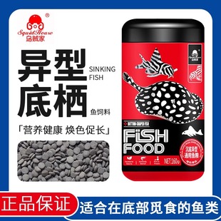 乌贼家底栖鱼饲料异型清道夫鱼食异形鱼鼠鱼大帆胡子片状沉底鱼粮
