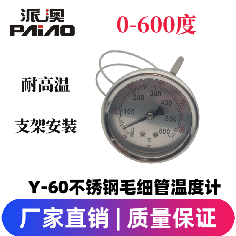 派澳温度计600度高温带线