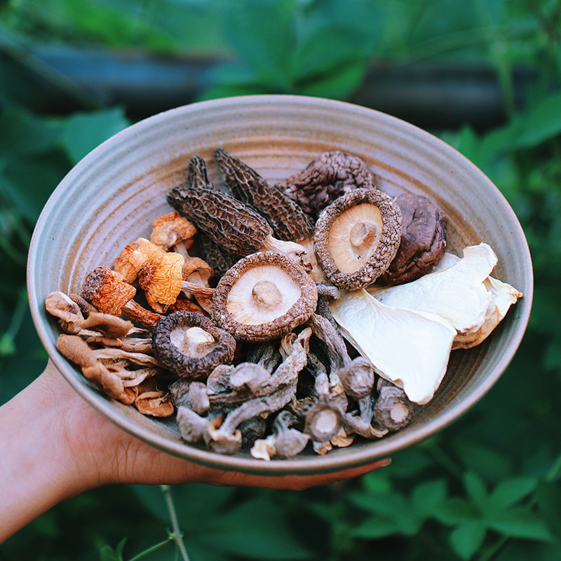 菌汤包姬松茸羊肚菌鹿茸菇香菇炖鸡煲汤料古田新鲜干货特产食用菌