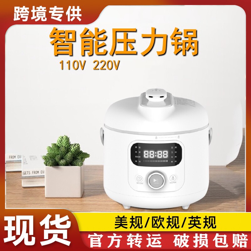 110v电压力锅智能保温迷你高压锅饭煲出口小家电3-5人快速煮饭电