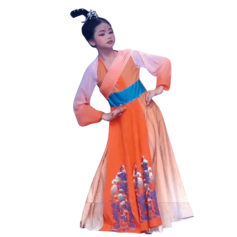 桃李杯古典舞长裙中国风女