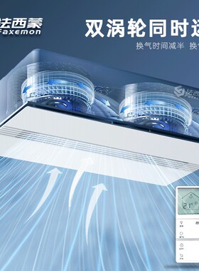 法西蒙300x600照明换气二合一强