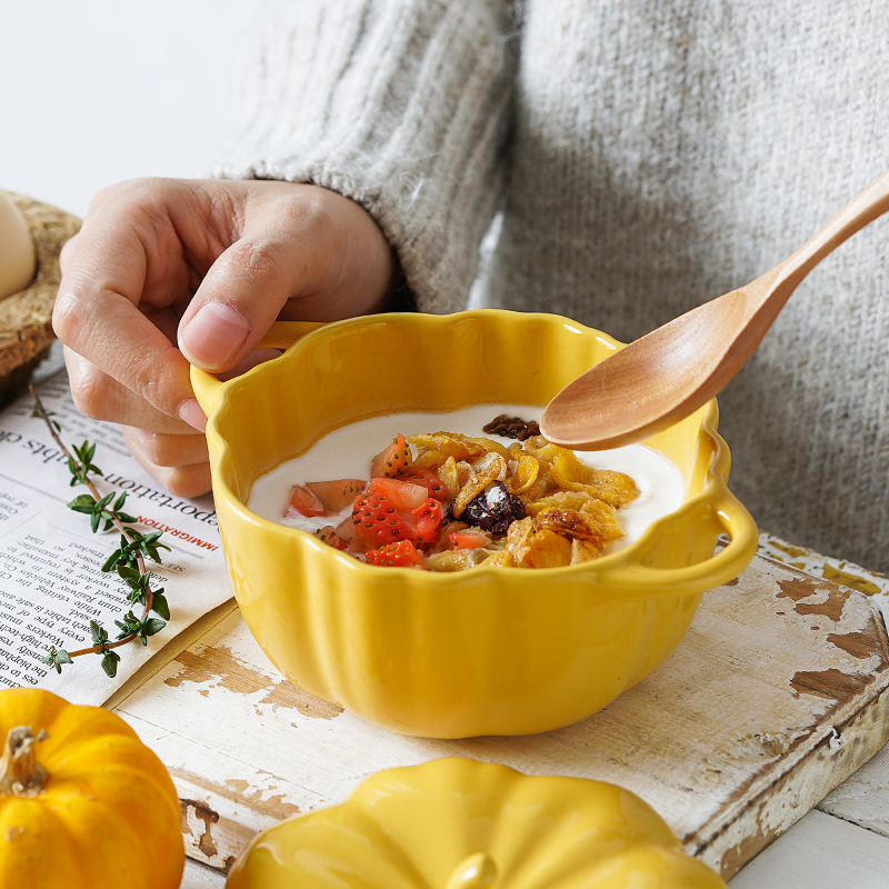 ezicok蒸蛋碗可爱南瓜烤碗家用