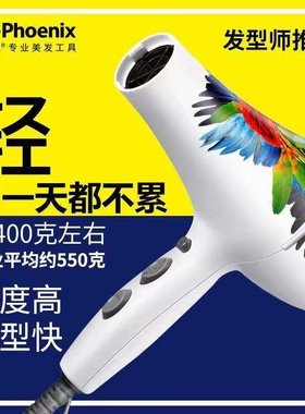 火之凤5600A鹦鹉电吹风机发型师专业超轻发廊理发店家用正品专用