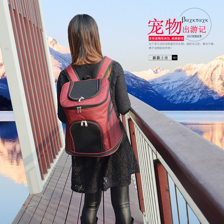 宠物双肩包猫狗背包狗狗外出便携包泰迪旅行包透气宠物袋狗包猫包,宠物/宠物食品及用品,背包/箱包,淘宝优惠券,粉丝福利购,淘宝优惠卷