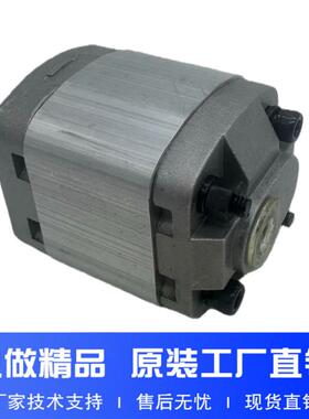 新款齿轮泵CBT-E100.19/E100.26/E100.38/E100.45/E100.60E10包邮