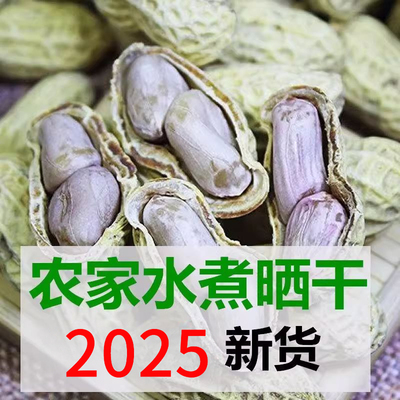 原味水煮晒干带壳白晒花生有嚼劲