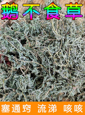 鹅不食草中药材500g鹅不吃草鹅不食石胡荽干货枕头中药材批 发