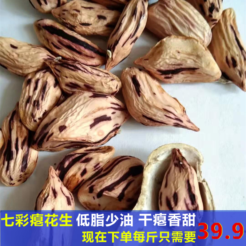 云南特产新货瘪籽七彩香甜煮粥