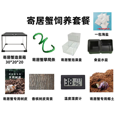 宠物造景箱全套九件套