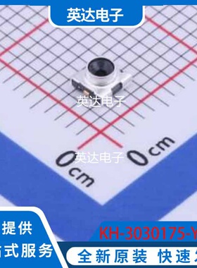 KH-3030175-Y1 原装正品 SMD