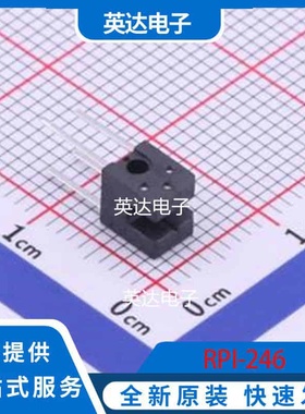 RPI-246 DIP-4 原装正品