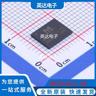 MKDV4GCL-AB 原装正品 LGA-8(6x8)