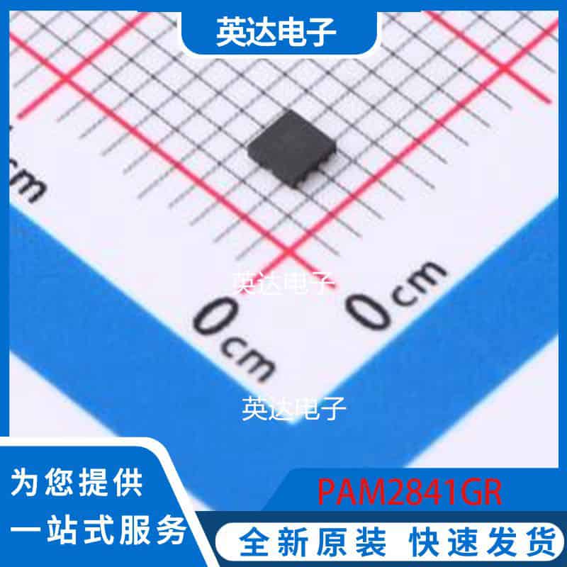 PAM2841GR UDFN-8-EP(2x2) 原装正品
