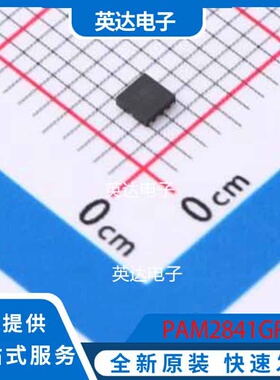PAM2841GR UDFN-8-EP(2x2) 原装正品