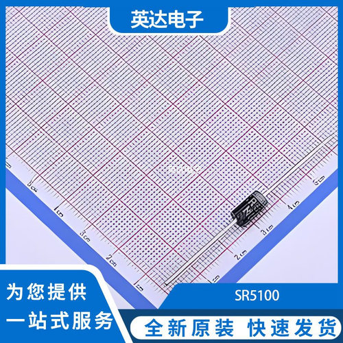 SR5100 原装正品 DO-201AD