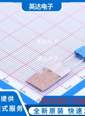 B32529C1104J289 原装正品 插件,P=5mm