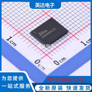ZDSD04GLGEAG LGA-8(6x8) 原装正品