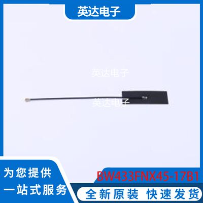 BW433FNX45-17B1 原装正品 -