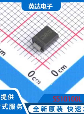SS10100L SMB 原装正品