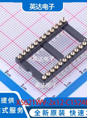 X5621WV-2x12-C1524D1196-1196 DIP-24 原装正品