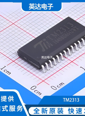 TM2313 原装正品 SOIC-28-300mil