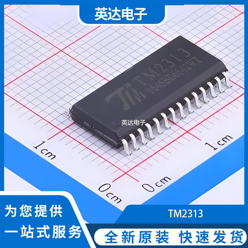 TM2313 原装正品 SOIC-28-300mil