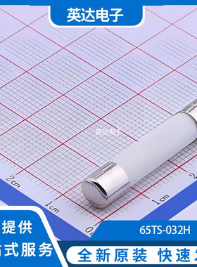 65TS-032H 原装正品 D6.35xL32mm