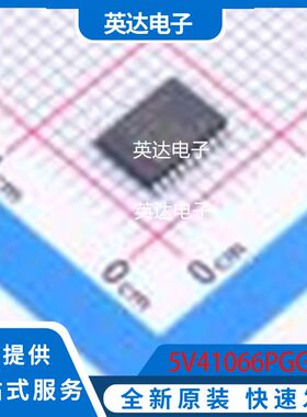 5V41066PGGI8 原装正品 TSSOP-20