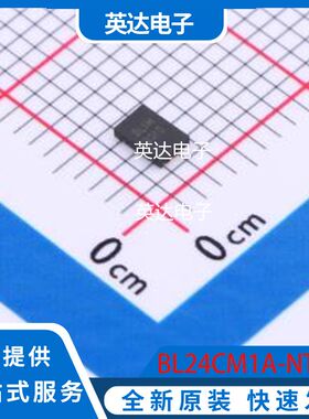 BL24CM1A-NTRC 原装正品 UDFN-8L(2x3)