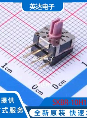 SKBR-10H1 插件 原装正品
