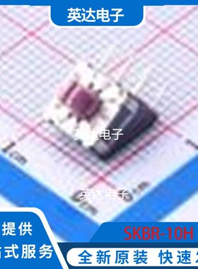 SKBR-10H 插件 原装正品