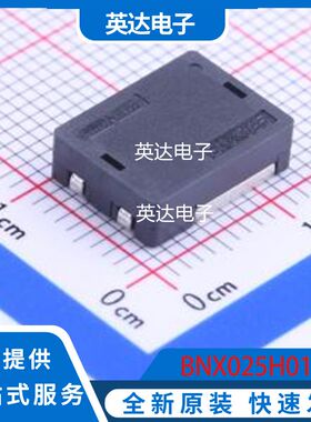 BNX025H01L 原装正品 SMD-4P,12.1x9.1mm