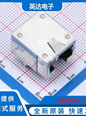 106066-2 原装正品 插件