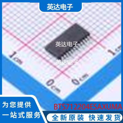 BTS712204ESAXUMA1 原装正品 TSSOP-24-150mil