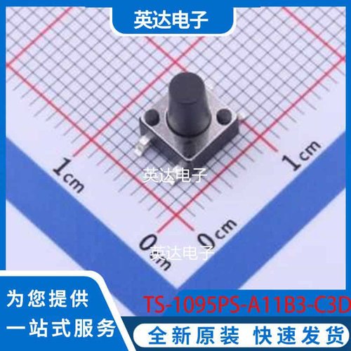 TS-1095PS-A11B3-C3D2 SMD 原装正品