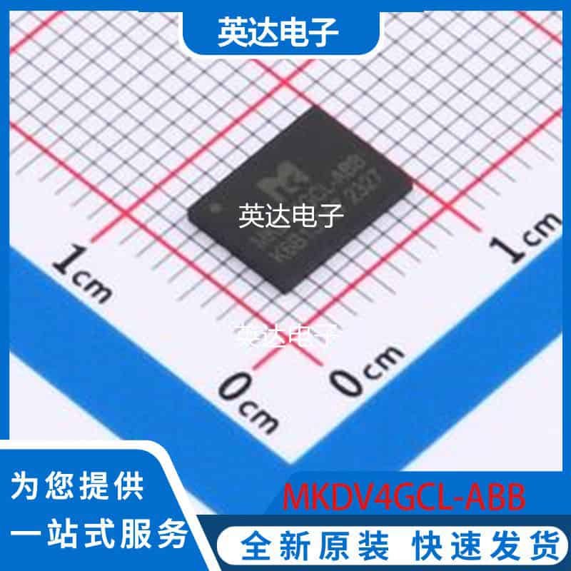 MKDV4GCL-ABB 原装正品 LGA-8(6x8)